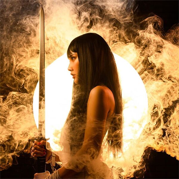 SmokeGENIE Smokeninja 