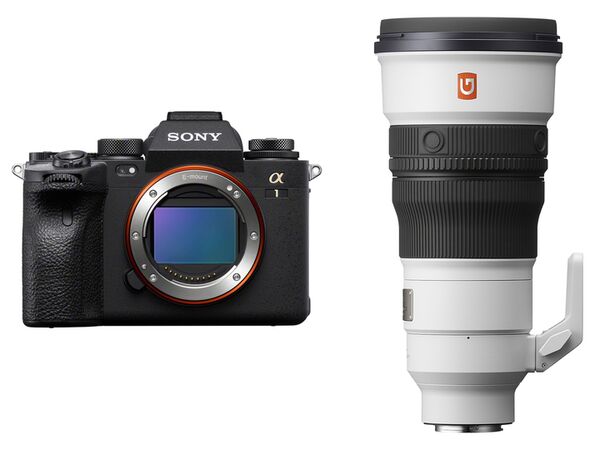 Sony Alpha 1 II (ILCE-1M2B) + SEL 300mm f/2.8 GM OSS 