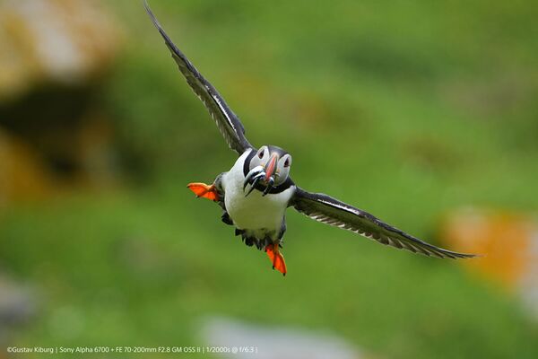 Sony Alpha 6700 (ILCE-6700) + 16-50mm f/3,5-5,6 PZ OSS 