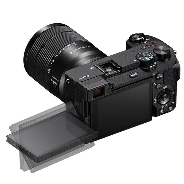Sony Alpha 6700 (ILCE-6700) + SEL 18-135mm 