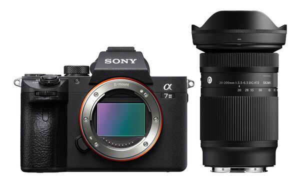 Sony Alpha 7 III (ILCE-7M3) + Sigma AF 20-200mm F3.5-6.3 DG Contemporary 