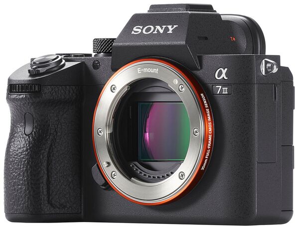 Sony Alpha 7 III (ILCE-7M3) + Tamron 16-30mm f/2,8 Di III VXD G2 