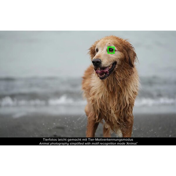 Sony Alpha 7 IV (ILCE-7M4) Gehäuse 