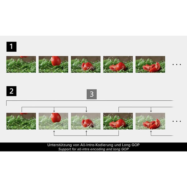 Sony Alpha 7 IV (ILCE-7M4) Gehäuse 