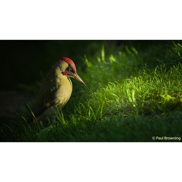 Sony Alpha 7 V (ILCE-7M5) Gehäuse 