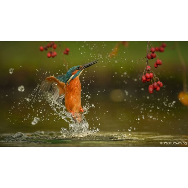 Sony Alpha 7 V (ILCE-7M5) Gehäuse 