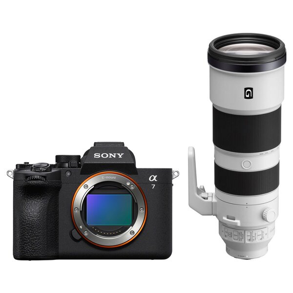 Sony Alpha 7 V (ILCE-7M5) + SEL 200-600mm f/5.6-6.3 G OSS 