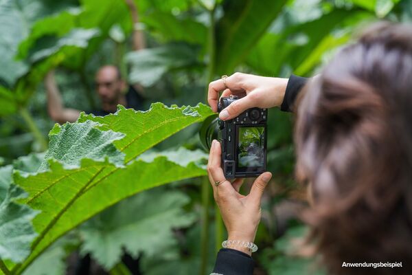 Sony Alpha 7C R (ILCE-7CR) Gehäuse  schwarz