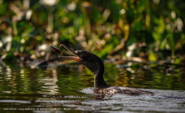 Sony Alpha 9 III (ILCE-9M3) Gehäuse 