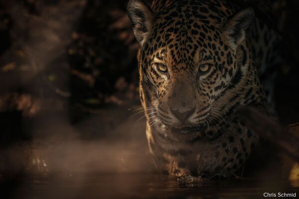 Sony Alpha 9 III (ILCE-9M3) Gehäuse 