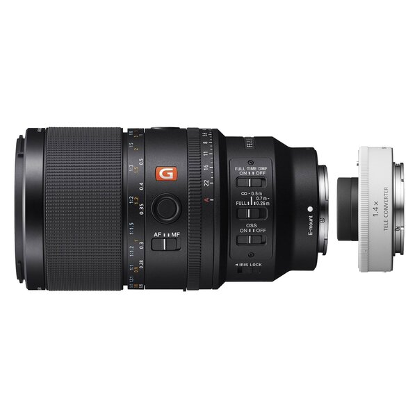 Sony SEL 100mm f/2,8 Makro GM OSS + SEL-14TC 1.4x Telekonverter 