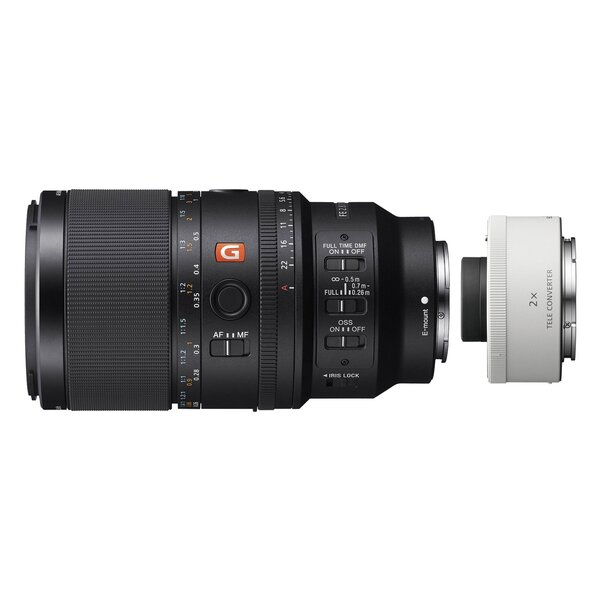 Sony SEL 100mm f/2,8 Makro GM OSS + SEL-20TC 2.0x Telekonverter 