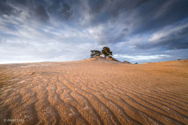 Sony SEL 14mm f/1,8 GM  Sony FE-Mount