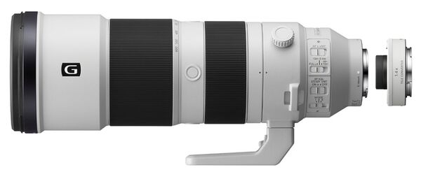 Sony SEL 200-600mm f/5.6-6.3 G OSS + Telekonverter  SEL-14TC 1.4x   Sony FE-Mount