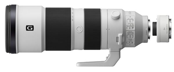 Sony SEL 200-600mm f/5.6-6.3 G OSS + Telekonverter SEL-20TC 2.0x   Sony FE-Mount