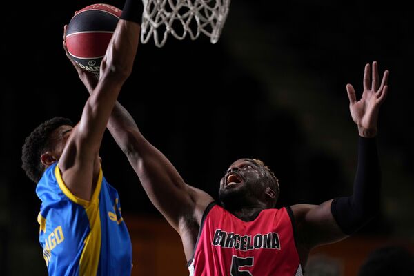 Sony SEL 300mm f/2.8 GM OSS  Sony  FE-Mount