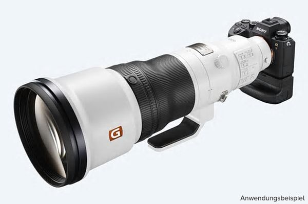Sony SEL 600mm f/4 GM OSS  Sony FE-Mount