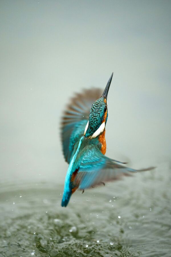 Sony SEL 70-200mm f/2,8 GM2 OSS  Sony FE-Mount