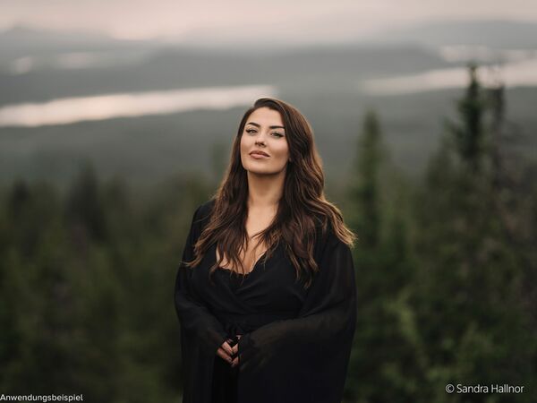 Sony SEL 85mm f/1,4 GM II  Sony  FE-Mount