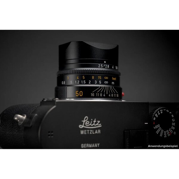 Squarehood Gegenlichtblende Summarit 50mm / 35mm 