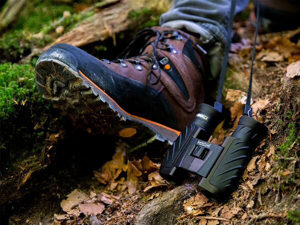 Steiner Safari UltraSharp  10x26