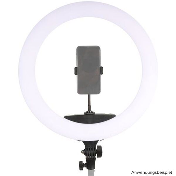 StudioKing LED Ringlamp Set 65W LR-650 