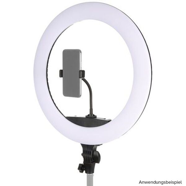 StudioKing LED Ringlamp Set 65W LR-650 