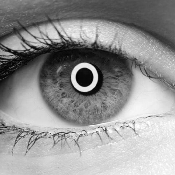 StudioKing LED Ringlampe Set LED-480ASK auf 230V 