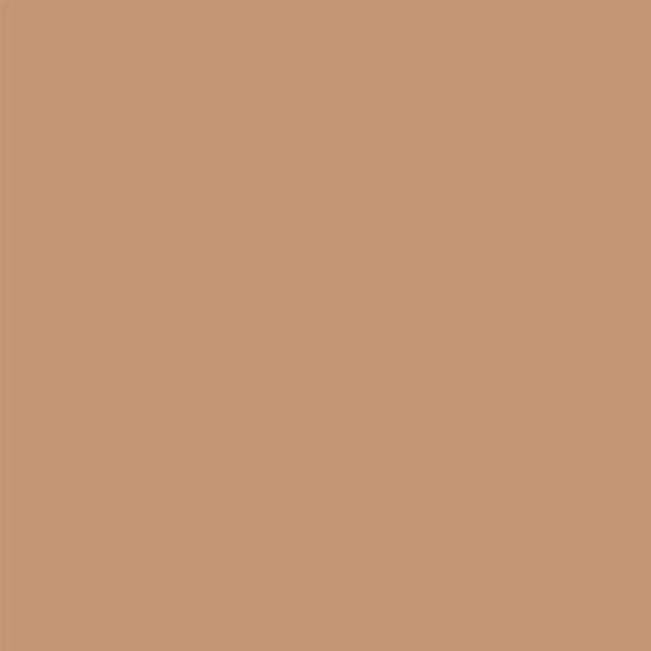Superior Hintergrund Papier   2,72 x 11 m 25 Beige