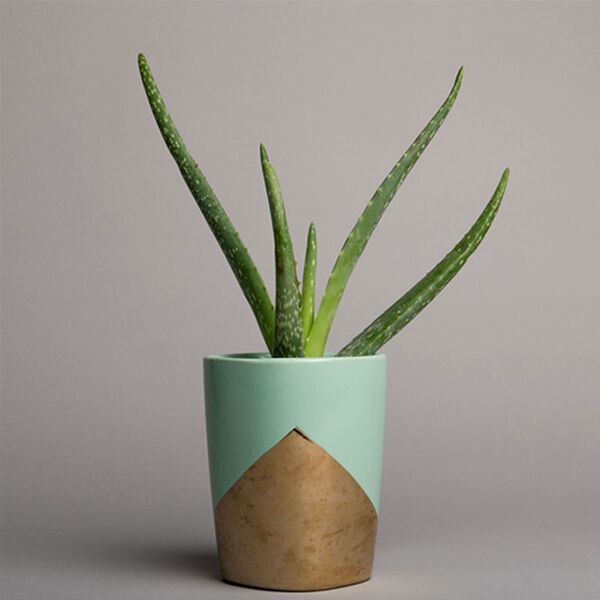 Superior Hintergrund Papier  2,72 x 11m 58 Slate Grey 