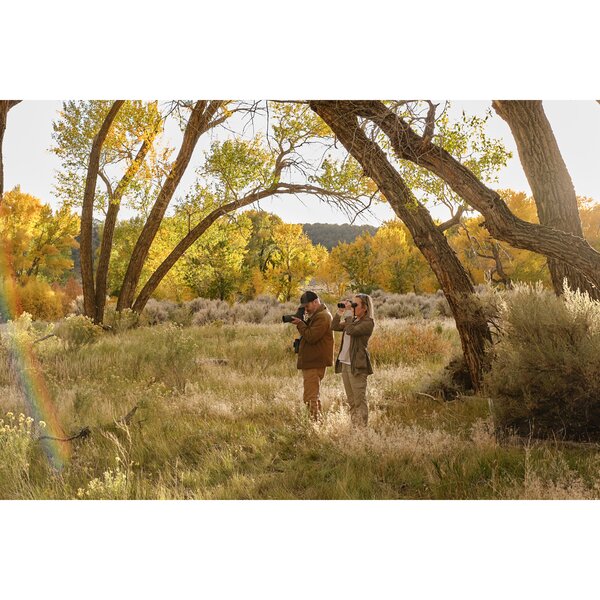 Swarovski AT Balance 18-45x65 