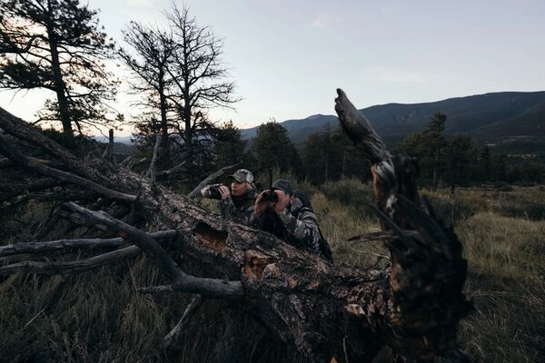 Swarovski EL Range 8x32 