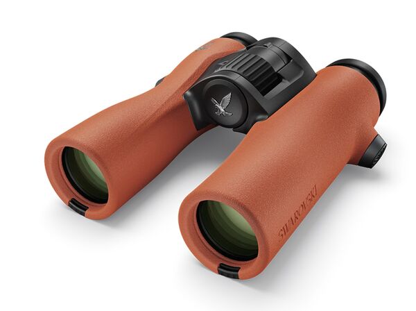 Swarovski NL Pure 10x32  burnt orange
