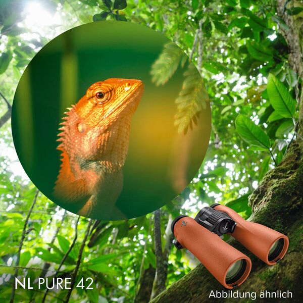 Swarovski NL Pure 12x42  Burnt Orange