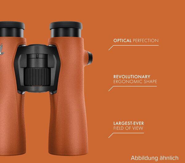 Swarovski NL Pure 8x42  Burnt Orange
