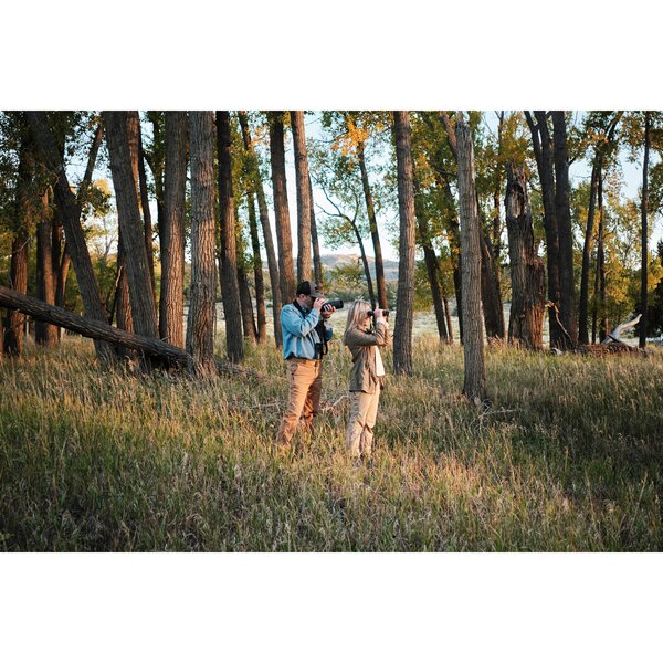 Swarovski ST Balance 14-35x50 