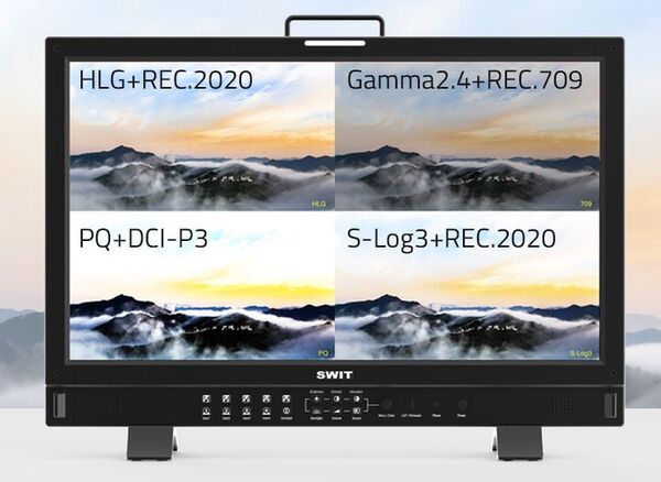 SWIT BM-H245 - Ready Production Monitor 
