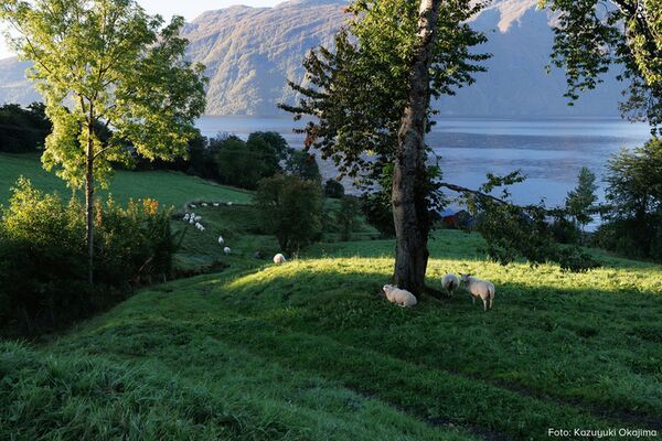 Tamron 11-20mm f/2,8 Di III-A  RXD  Canon RF-S