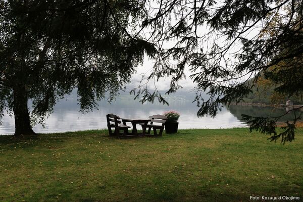 Tamron 11-20mm f/2,8 Di III-A  RXD  Canon RF-S