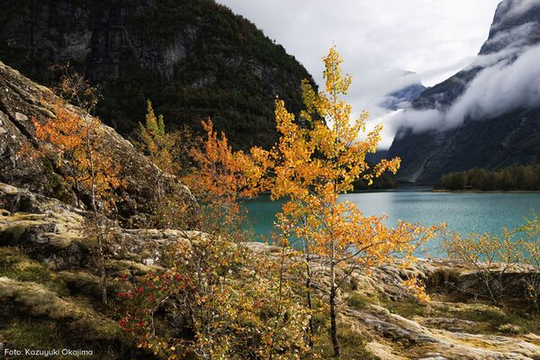 Tamron 11-20mm f/2,8 Di III-A  RXD  Canon RF-S