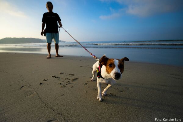 Tamron 11-20mm f/2,8 Di III-A  RXD  Canon RF-S