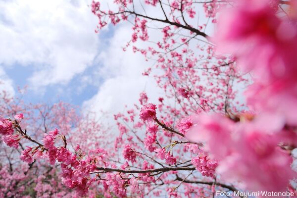 Tamron 11-20mm f/2,8 Di III-A  RXD   Fujifilm X