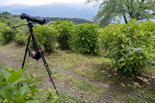 Tamron 150-500mm f/5-6,7 Di III VC VXD  Fujifilm X