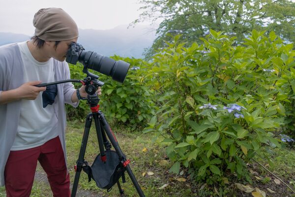 Tamron 150-500mm f/5-6,7 Di III VC VXD  Fujifilm X