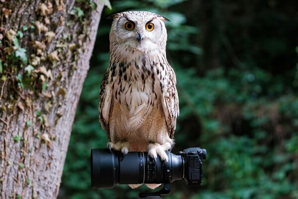 Tamron 150-500mm f/5-6,7 Di III VC VXD  Fujifilm X