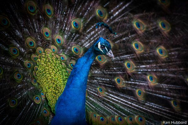 Tamron 150-500mm f/5-6,7 Di III VC VXD  Sony FE-Mount