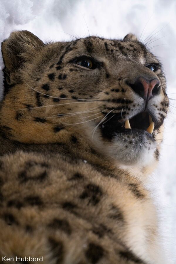 Tamron 150-500mm f/5-6,7 Di III VC VXD  Sony FE-Mount