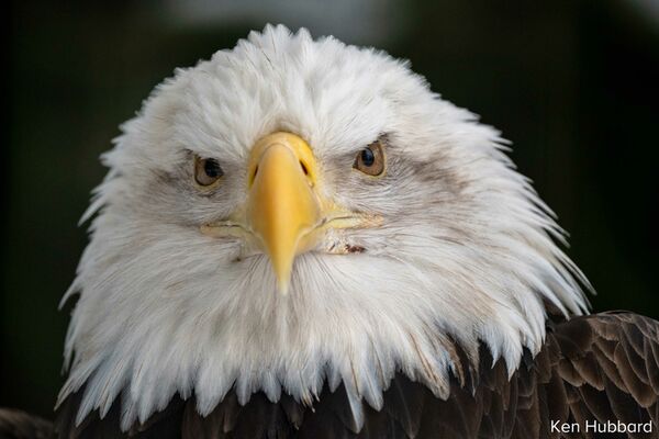 Tamron 150-500mm f/5-6,7 Di III VC VXD  Sony FE-Mount