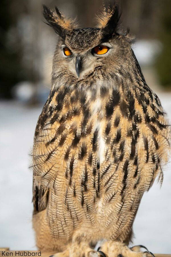 Tamron 150-500mm f/5-6,7 Di III VC VXD  Sony FE-Mount