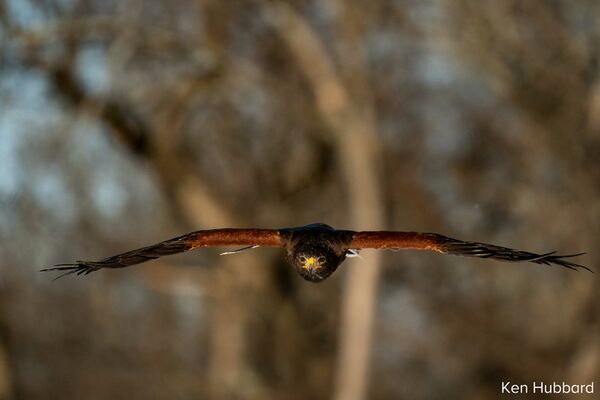 Tamron 150-500mm f/5-6,7 Di III VC VXD  Sony FE-Mount